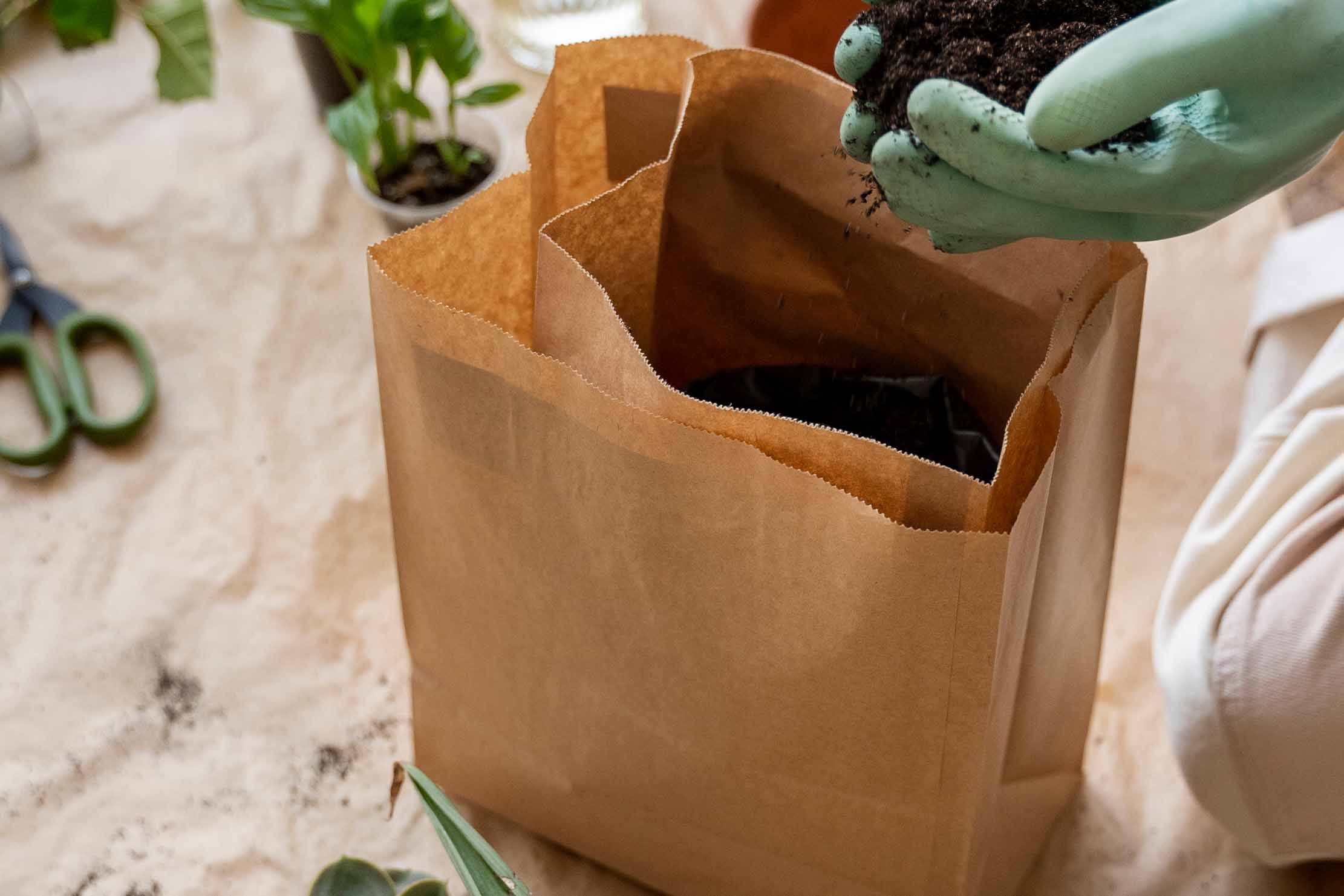 Innovations in Biodegradable Packaging: Whats New and Whats Next?